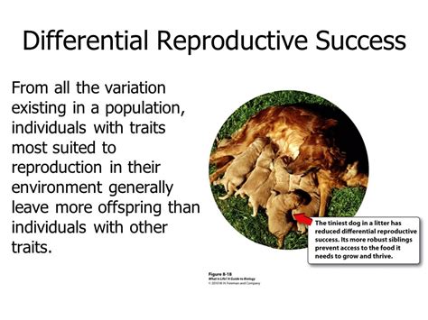 Trivers defined relative parental investment as “any investment by the parent of an individual offspring that increases that offspring’s survival (and hence reproductive success) at the cost of the parent’s ability to invest in other offspring.” ( 1972 pp. 139). Trivers concluded that the governing principle of sexual selection was the ...